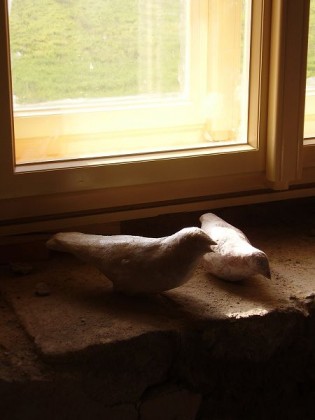 Markéta Šafáriková